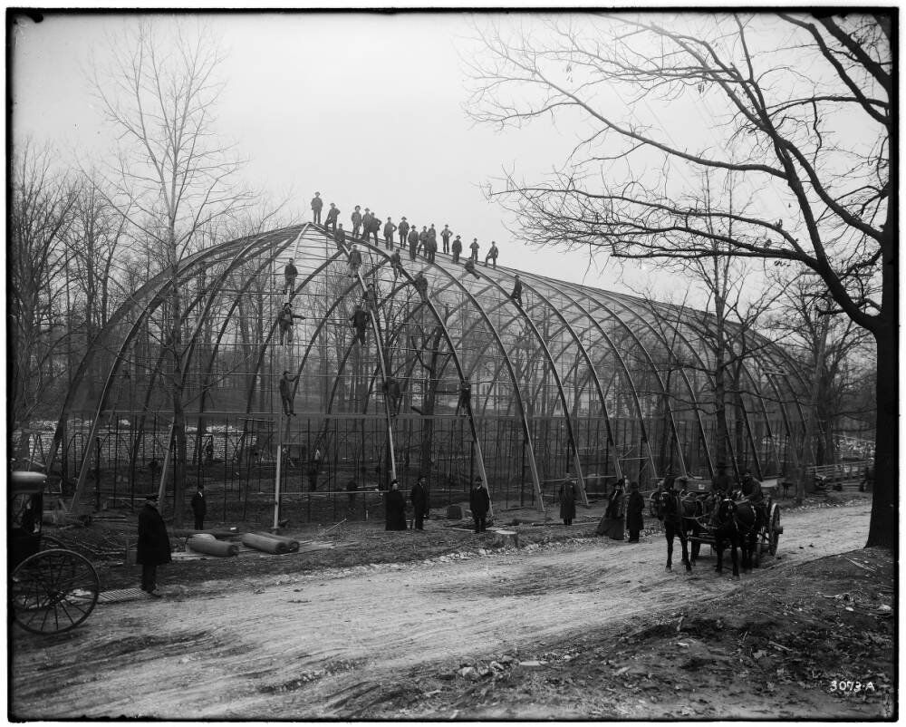 Flight Cage